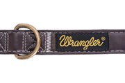 Wrangler® Faux Leather Collar with Gold Buckle Dark Brown