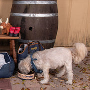 Wrangler® Stoneware Bowl Tan Multi