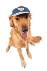 Wrangler® Graphic Baseball Cap – Navy