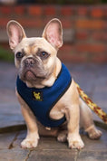 Load image into Gallery viewer, EcoBark Navy Dog Harness - Over-the-Head Soft Mesh Dog Vest Halter for Small to Medium Dogs and Puppies
