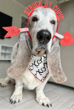 XOXO Valentine