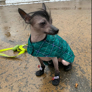 Saltsox 2025 / Blizzard Black