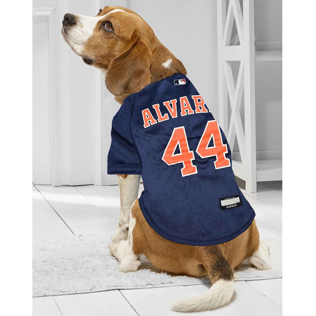 MLB Houston Astros Yordan Alvarez Mesh Dog Jersey