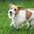 Load image into Gallery viewer, New York Yankees Hard Nylon Homeplate Chew Toy
