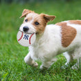 Load image into Gallery viewer, New York Yankees Hard Nylon Baseball Chew Toy
