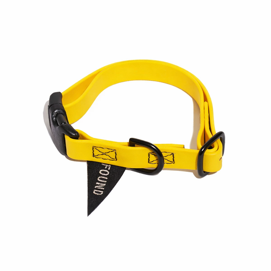 Biothane® Leather Alternative Dog & Cat Collar – Waterproof & Durable | Yellow | Matte Black Hardware