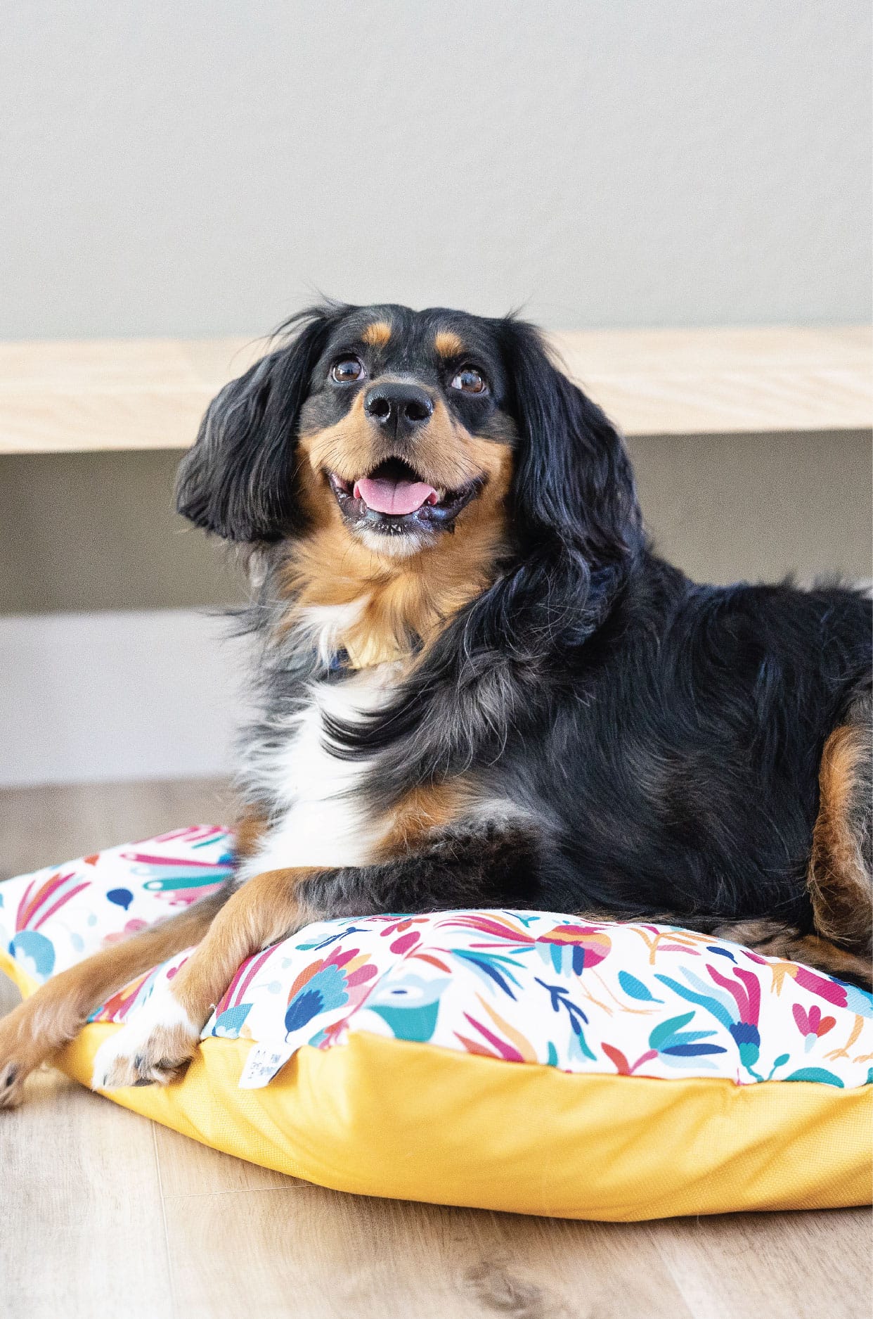 Yesenia Dog Bed