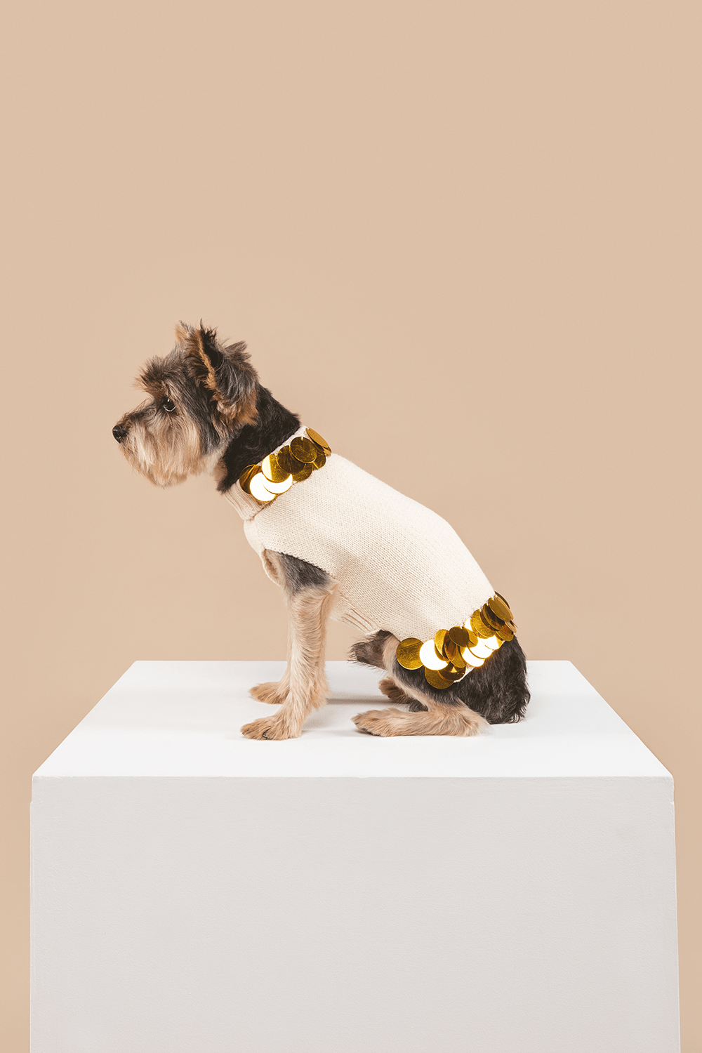 Fancy You Sweater - Southlake Paws