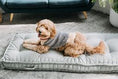 Load image into Gallery viewer, Spencer Wool Dog Sweater
