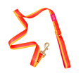 Load image into Gallery viewer, Zara Dog Leash
