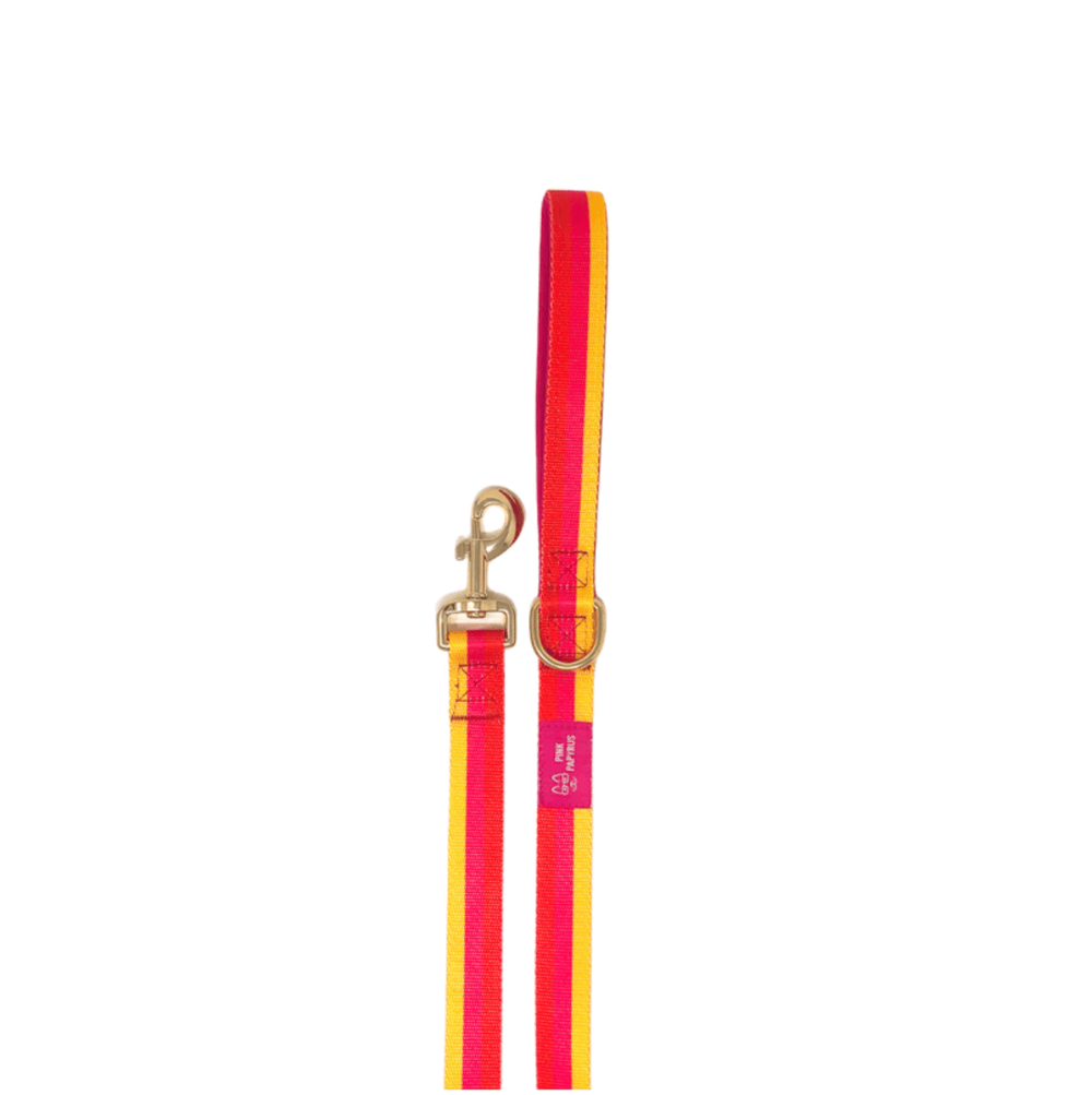 Zara Dog Leash