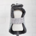 Load image into Gallery viewer, Zha Zha Dog Coat
