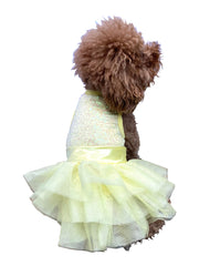 Zsa Zsa Dog Tutu Dress in Lemon Yellow 