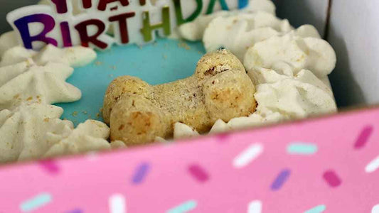 Dog Cakes | Dog Birthday Cakes | 4 Inch Drip Cake