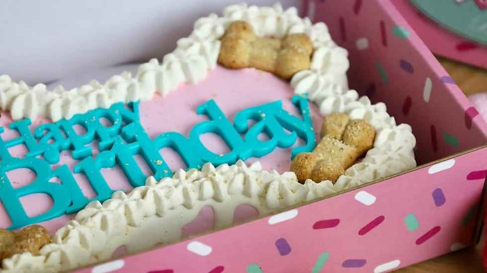 Dog Cakes | Dog Birthday Cakes | 9 inch Bone Cake