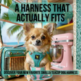 Load image into Gallery viewer, EcoBark Step In Dog Harness - XXXS to Small Breeds- Reflective Soft Mesh Harness for Teacup, Small Dogs and Puppies / Mint Turquoise

