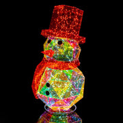 Kurt Adler 24-Inch 300-Light Warm White Fairy LED Iridescent Snowman