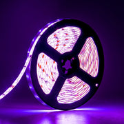 Kurt Adler 16.4-Foot UV LED Strip Light