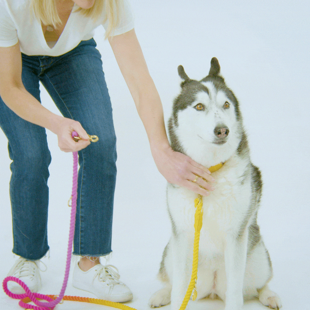 Nola Hands-Free Rope Dog Leash