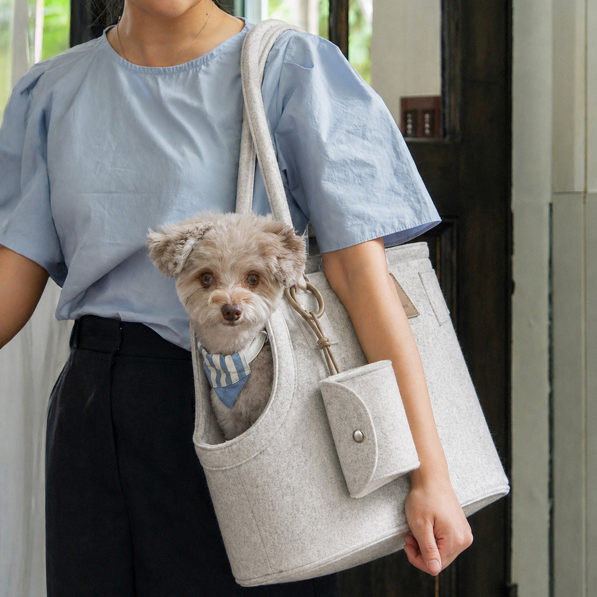 Nooee Pet Ash Felt Dog Carrier