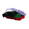 Load image into Gallery viewer, Martingale Dog Collar
