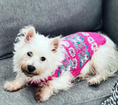 Load image into Gallery viewer, Alpaca Rose Fairisle Dog Sweater
