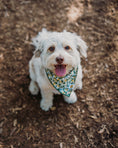 Load image into Gallery viewer, Limoncello Dog Bandana
