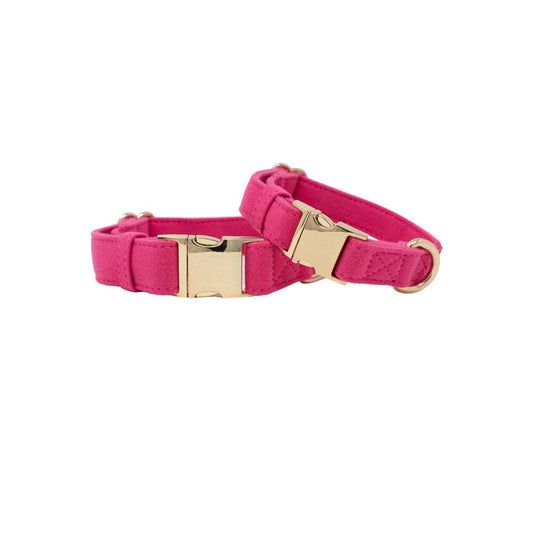 Antoinette Dog Collar