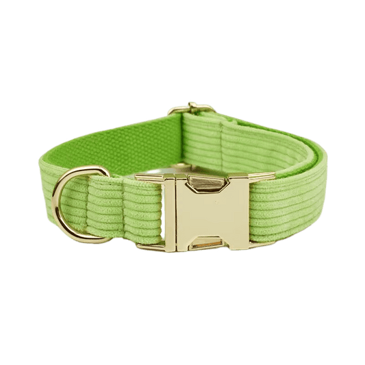 Apple Green Corduroy Set