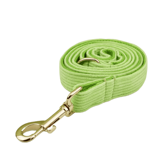 Apple Green Corduroy Set