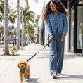 Load image into Gallery viewer, EcoBark Step In Dog Harness - XXXS to Small Breeds- Reflective Soft Mesh Harness for Teacup, Small Dogs and Puppies / Aqua Sport
