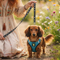 Load image into Gallery viewer, EcoBark Step In Dog Harness - XXXS to Small Breeds- Reflective Soft Mesh Harness for Teacup, Small Dogs and Puppies / Aqua Sport
