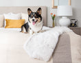 Load image into Gallery viewer, Southlake Paws Arctic Shag Blanket draped on a bed with a happy dog sitting on it, featuring a cozy and stylish design.
