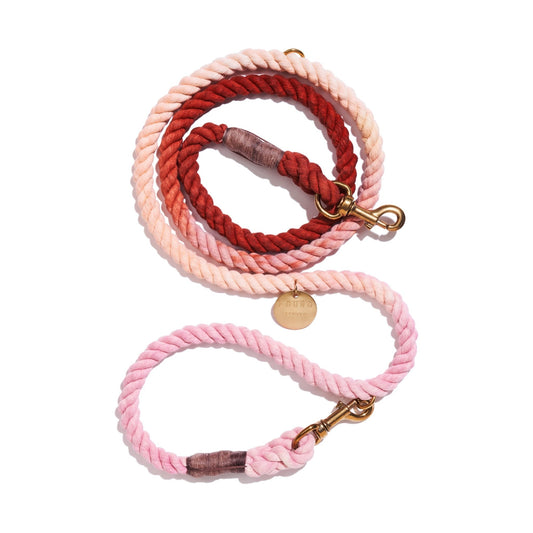 Shop Leashes Premium Arizona Rope Dog Leash, Adjustable & Secure Bolt Snap - Found my Animal