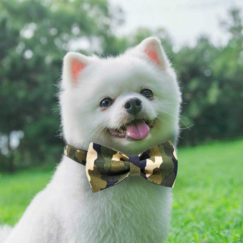 Army Chic Camouflage Bow Tie Dog Collar & Leash Set | Personalized Free - Southlake Paws