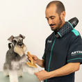 Load image into Gallery viewer, Neck Mount Dryer Snake by Artero
