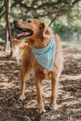 Load image into Gallery viewer, Dorothy's Picnic Dog Bandana
