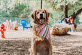 Load image into Gallery viewer, Miami Beach Umbrella Bandana
