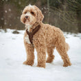 Load image into Gallery viewer, 'Lilac' - Sherpa Dog Harness

