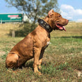Load image into Gallery viewer, "Aztec" brown dog collar
