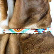 Aztec Sambboho dog collar (rolled)