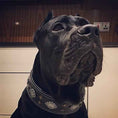 Load image into Gallery viewer, "Aztec" black dog collar
