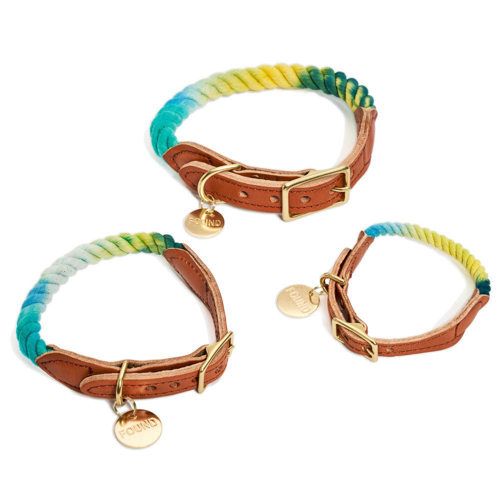 Dog Collars Premium Found My Animal X Petco Azure Cotton Rope Dog Collar