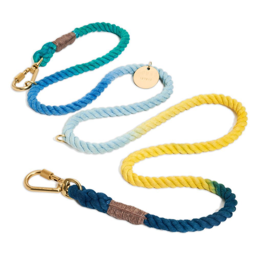 Shop Leashes Premium Azure Cotton Rope Dog Leash by Found My Animal, Adjustable