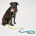 Load image into Gallery viewer, Shop Leashes Premium Azure Cotton Rope Dog Leash by Found My Animal, Adjustable
