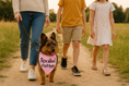 Load image into Gallery viewer, Parisian Pet 'Spoiled Rotten' Bandana for Dogs & Cats - Trendy, Comfortable, Funny Pink Dog Bandana
