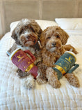 Load image into Gallery viewer, Snuggly Cup Holiday Green & Green Stars Bone | Christmas Dog Toys
