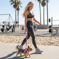 Load image into Gallery viewer, EcoBark Step In Dog Harness - XXXS to Small Breeds- Reflective Soft Mesh Harness for Teacup, Small Dogs and Puppies / Baby Pink

