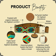 Bahamas dog collar (quick release)