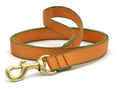 Load image into Gallery viewer, Color Market Dog Lead
